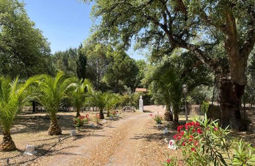 Aracena Casa | Villa Amigo, Casa Rural espectacular en Sierra de Aracena
