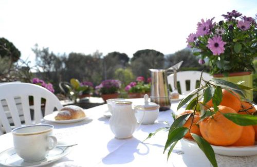 Mondello Cama Y Desayuno | Villa Ammirata Mondello by Wonderful Italy