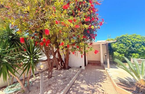 Trapani Casa | Villa Andrea "Vivi l'Oasi di Tranquillità"
