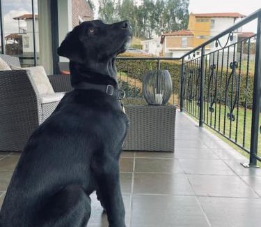 Paipa Casa | Villa Anny