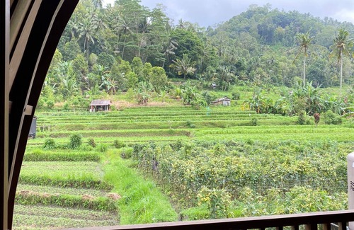 Wisma Kerta Villa | Villa Anteng
