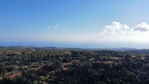 Loucha Casa | Villa Antoon