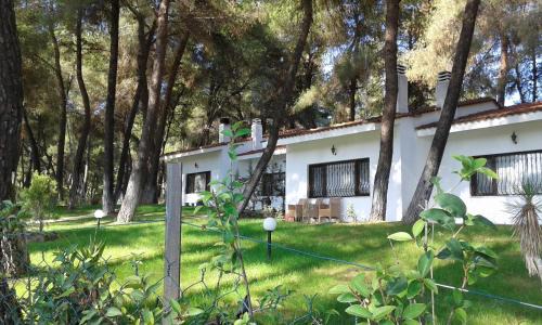 Sane Villa | Villa Anty