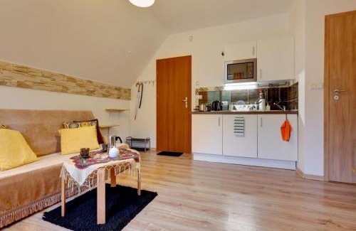 Piwniczna-Zdroj Apartamento | Villa Apia
