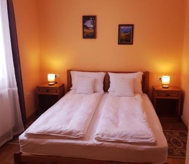 Baile Tusnad Casa | Villa Atriolum