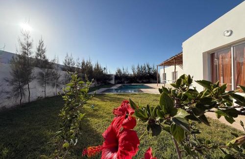 Essaouira Apartamento | Villa berbère