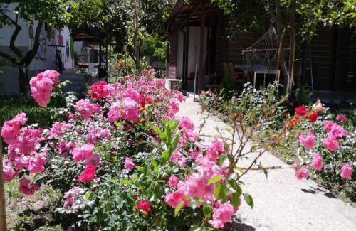 Side Casa | Villa Beyazıt