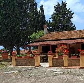 Guardistallo Casa | Villa Blick