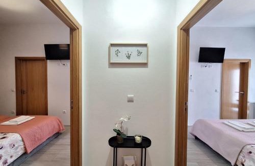 Castro Daire Casa | Villa Boas House