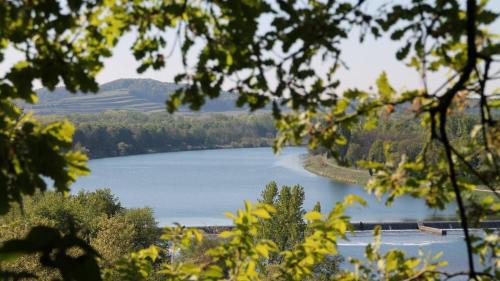 Sasbach am Kaiserstuhl Apartamento | Villa Bonita del Kaiserstuhl