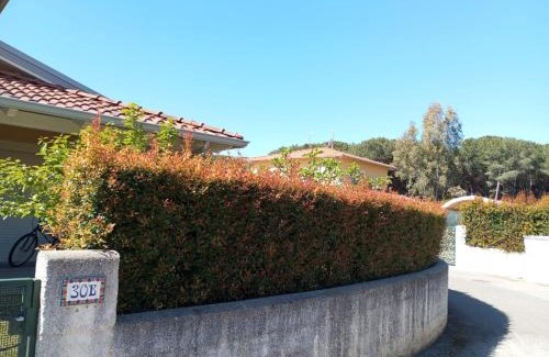 Pizzo Villa | Villa Brenda