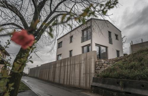 Ajdovscina Casa | Villa Brje with Seasonal Pool