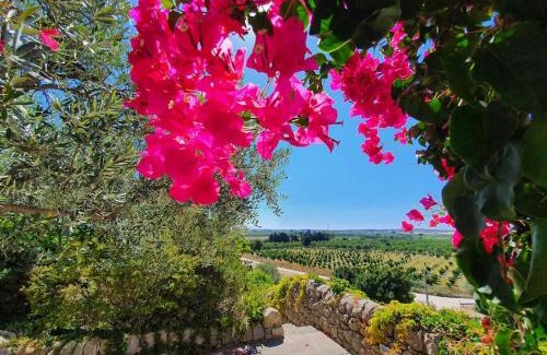 Noto Apartamento | Villa Calma
