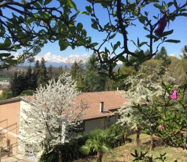 Briona Casa | Villa Caramino