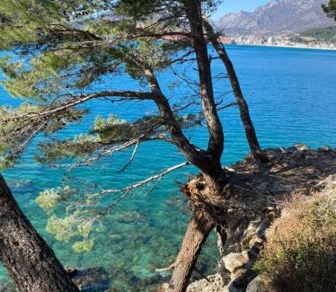 Sutomore Apartamento | Villa Casa Mia