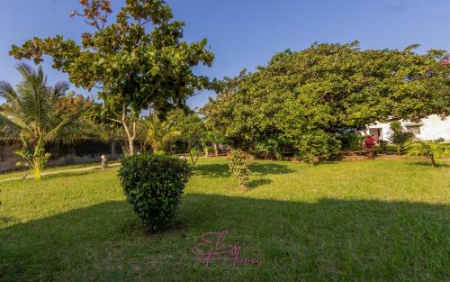 Diani Beach Villa | Villa Cashew Diani