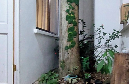 Tárcoles Apartamento | Villa Chungos . Un Hermoso hospedaje en el Pacífico Central de Costa Rica