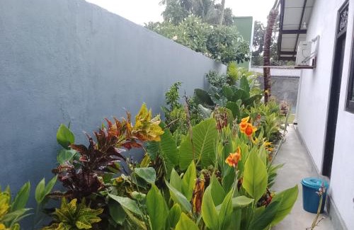 Thiranagama Casa | Villa Conch by Om