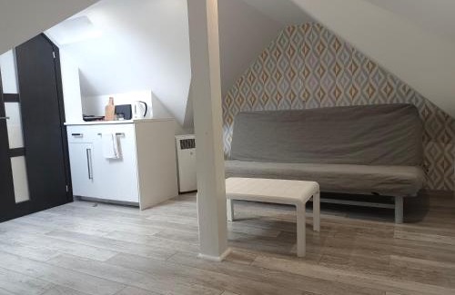 Debki Apartamento | Villa Cork