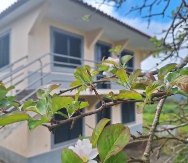 Sao Roque do Faial Casa | Villa Correia - Ribeiro Frio
