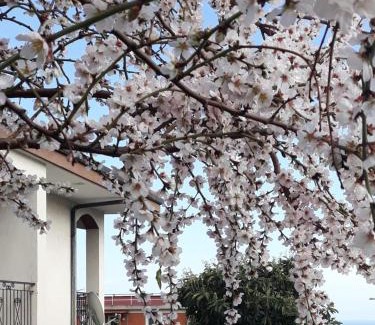 Boissano Apartamento | Villa Cristina