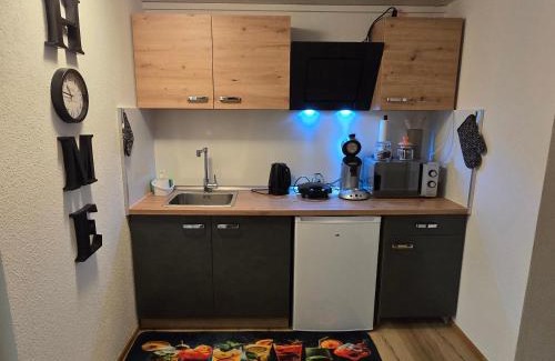 Niederwuerschnitz Apartamento | Villa Dacha