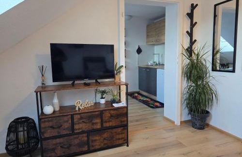 Niederwuerschnitz Apartamento | Villa Dacha