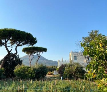 Torre del Greco Casa | Villa De Cillis Carafa