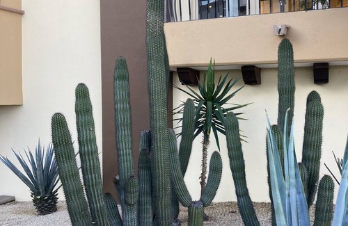 Los Cangrejos II y ÌII Apartamento | Villa del Arco Beach Resort and Spa, Cabo San Lucas Baja California Sur, Mexico