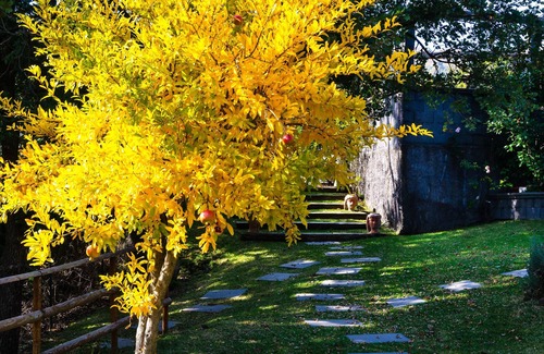 Montargano Casa | Espléndida villa en el parque del Etna
