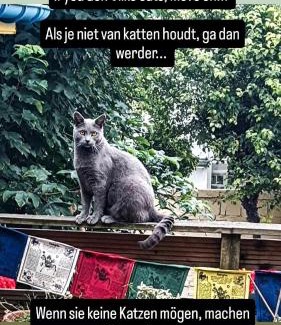 Gare Casa | Villa des Chats