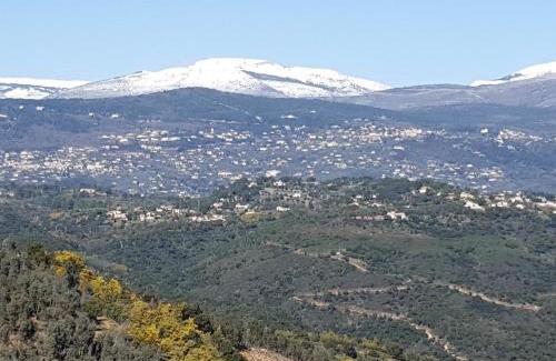 Le Tignet Cama Y Desayuno | villa des oliviers