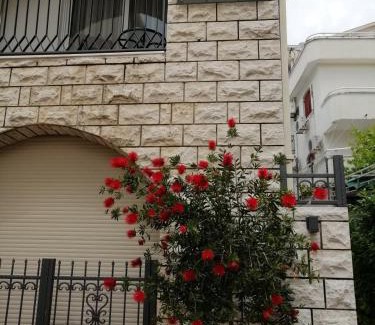 Velji Vinogradi Casa | Villa DiEden