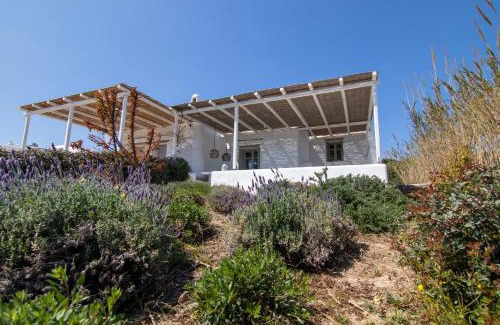 Santa Maria Casa | Villa Diorite by Rocks Estates