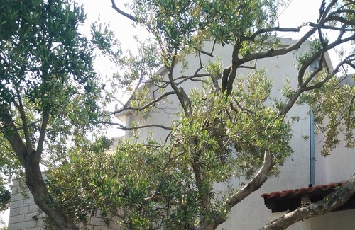 Businci Hotel | Villa Donadini