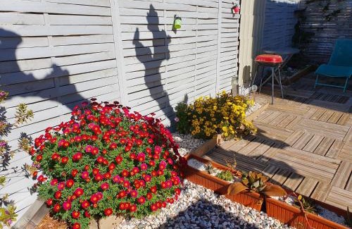 Frontignan Apartamento | Villa Dora