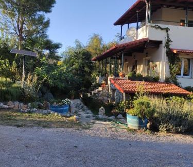 Polidrosos Apartamento | Villa Dorothy360