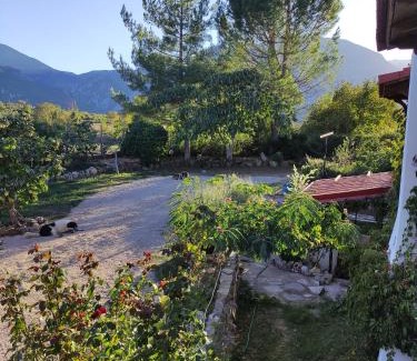 Polidrosos Apartamento | Villa Dorothy360