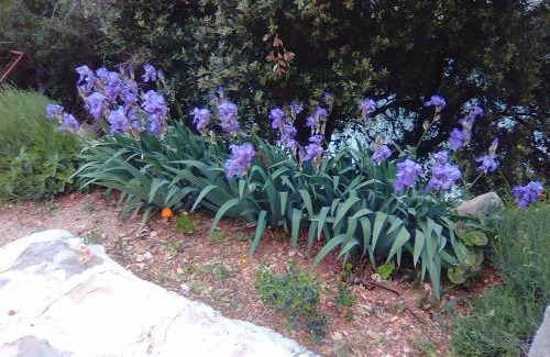 Zastrazisce Casa | Villa ECCO NATURE