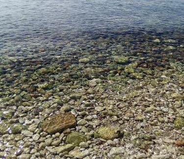 Zastrazisce Casa | Villa ECCO NATURE