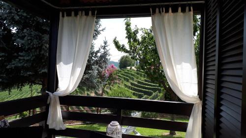Barbaresco Casa | Villa Edy Barbaresco con piscina per gruppi e famiglie