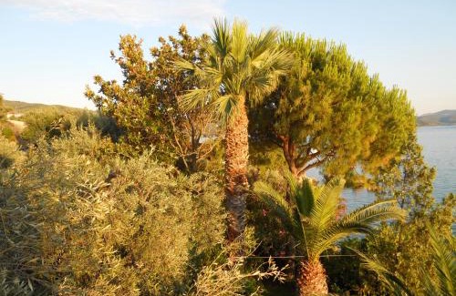 Horto Apartamento | Villa Electra