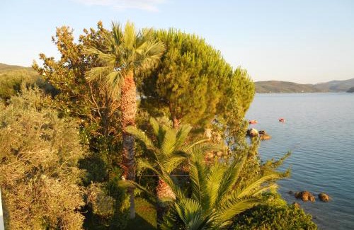 Horto Apartamento | Villa Electra