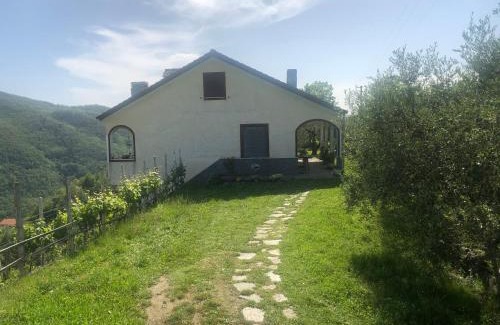 Mezzanego Casa | Villa ELENA