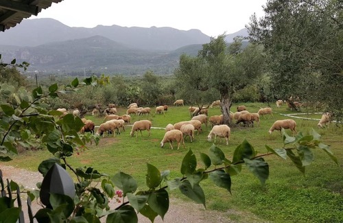 Arfara Casa | Villa Evelina