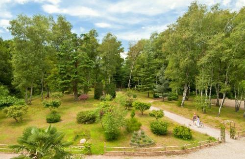 San Maurizio d'Opaglio Hotel | Villa Ferrari, Le Betulle