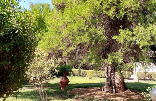 Ida Ougourd Villa | Villa Fleurie hermoso jardín y piscina!