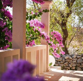 Milna (Brac) Villa | Villa Fortica