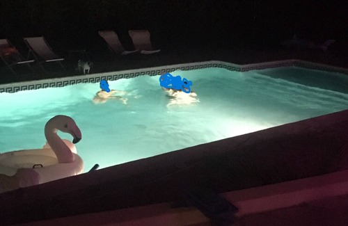 Saint-Clement-de-Riviere Casa | Villa à Montpellier au Calme Avec Piscine et Jacuzzi