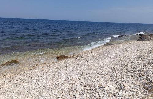 Giovinazzo Apartamento | Villa Franca